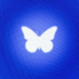 Telegram profile photo for babyhash🦋