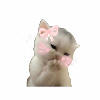 Telegram profile photo for تمويلات مارسي