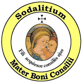 Telegram profile photo for Sodalitium.eu