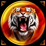 Telegram profile photo for 𝑇𝐼𝐺𝐸𝑅𝑆 𝐼𝑆𝐷.
