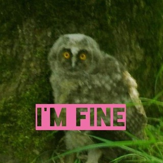 Telegram profile photo for I'M FINE