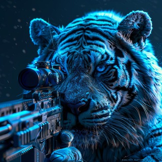 Telegram profile photo for TonTrader | TT | Major Combo | Комбо мажор
