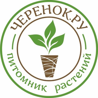 Telegram profile photo for Черенок.ру