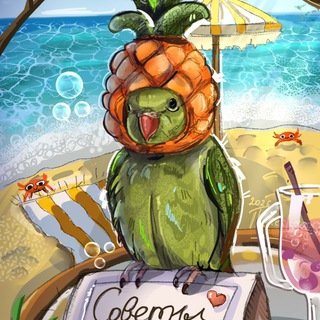Telegram group profile photo for Советы, общение про птиц 🕊