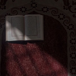 Telegram profile photo for تلاوه هادئة🎧
