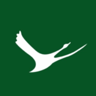 Telegram profile photo for GOOSI SOKOLNIKI