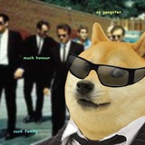 Telegram profile photo for Coin Media