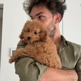 Telegram profile photo for Gasly.
