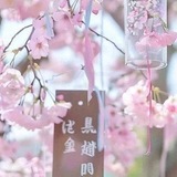 Telegram profile photo for трупные прятки