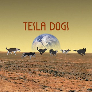 Telegram profile photo for Tesla Dogs Universe