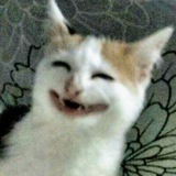 Telegram profile photo for میناب گنگ