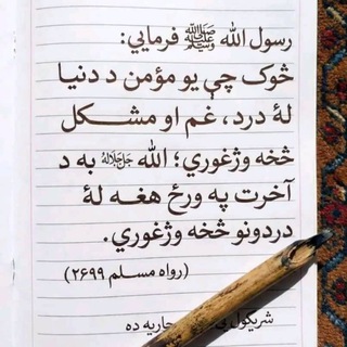 Telegram profile photo for د حق لارویان