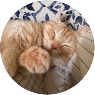 Telegram profile photo for Makam ETH Portal