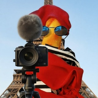 Telegram profile photo for HVS (Hiroshi Video Snimaet)