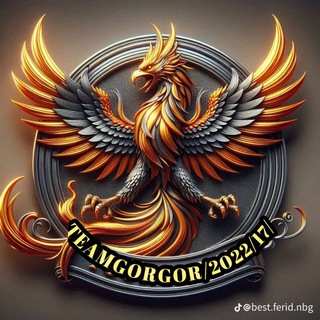Telegram profile photo for TEAM GOR GOR GUUL AM GEERI SHAX FARII