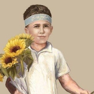 Telegram profile photo for السفينة المهدوية ⛵️💚