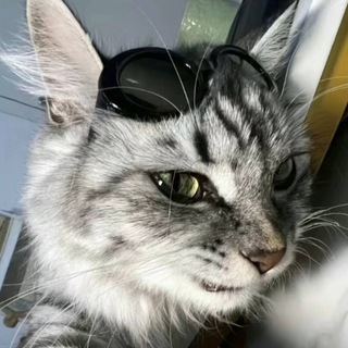 Telegram profile photo for 资本商铺