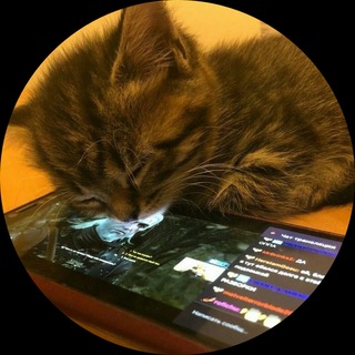 Telegram profile photo for candlelight