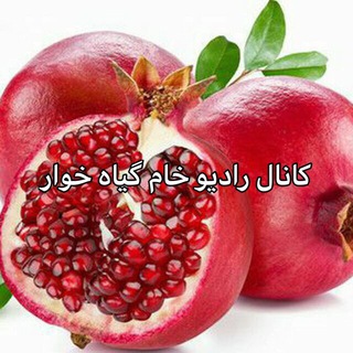 Telegram profile photo for رادیو خام گیاه خوار