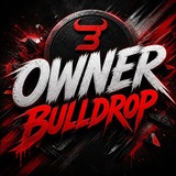 Telegram profile photo for OWNER BULLDROP