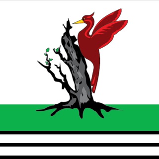 Telegram profile photo for Светлая Елабуга