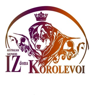 Telegram profile photo for Австралийские овчарки kennel 💥 IZ DOMA KOROLEVOI💥🥰, aussie/аусси в Абхазии