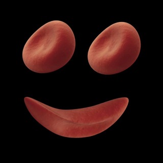 Telegram profile photo for 4 0 6