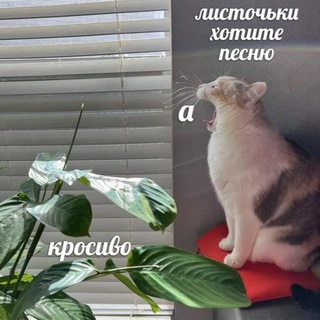 Telegram profile photo for Пресвятые Садовники 🐛
