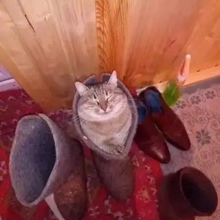 Telegram profile photo for Подвал мемасов