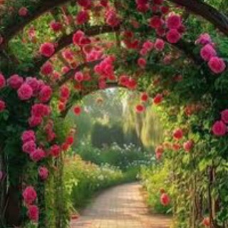 Telegram profile photo for فَإِنِّي قَرِيبٌ 🕊️🌿