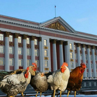 Telegram profile photo for Вести из КУРятника