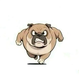 Telegram profile photo for 东南亚曝光 柬埔寨园区 吃瓜曝光 黑平台曝光