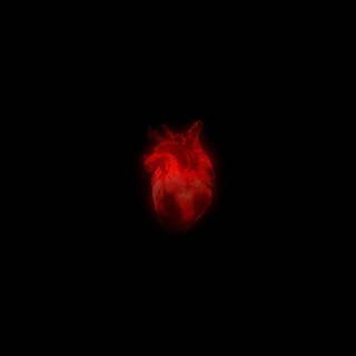 Telegram profile photo for Khatulistiwa Open Member