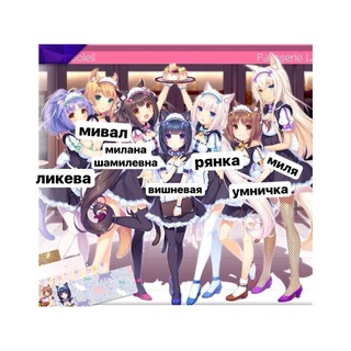 Telegram profile photo for кошкодевочки koshde