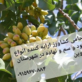 Telegram profile photo for گروه آموزش و تامین نهاده حامی کشاورز