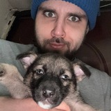 Telegram profile photo for FONFORINO fan