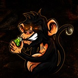 Telegram profile photo for Optimizer