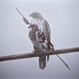Telegram profile photo for list @arb