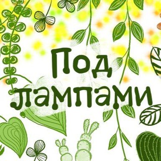 Telegram profile photo for Лавка под лампами