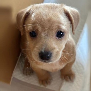 Telegram profile photo for willy CTO
