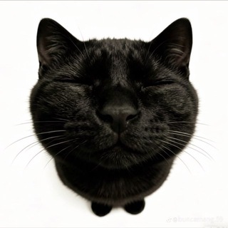 Telegram profile photo for 𝓐ı𝗻é 𝖽𝗲 𝓒e𝗹este