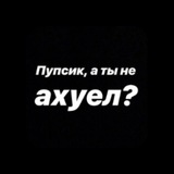 Telegram profile photo for Абобусы