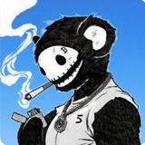 Telegram profile photo for Shark|A9速通版 🦈 赚麻麻