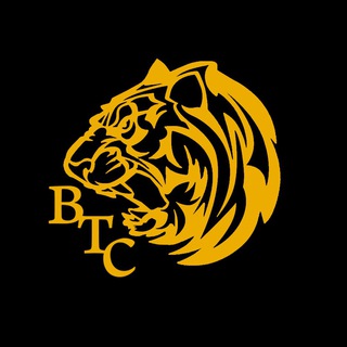 Telegram profile photo for TigerBTC