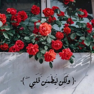 Telegram profile photo for لـيطمئنَّ قـلبي