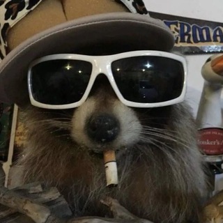 Telegram profile photo for анельбек, или как её там