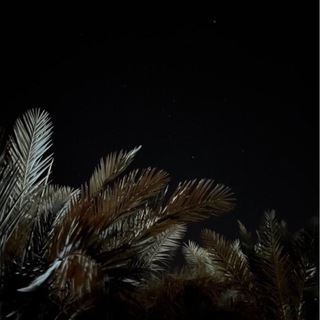Telegram profile photo for ᷂هَـاجسـه .
