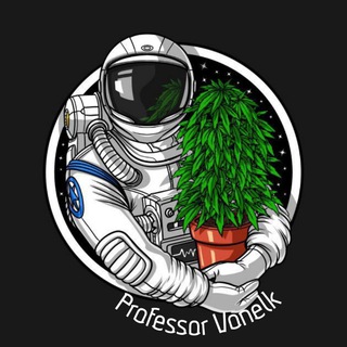 Telegram profile photo for Professor Vonelk