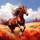 Telegram profile photo for pakis skipas | WAR | ECONOMY | Human | Society | Russia |CHINA | Antifasist | Socialism | working class | Πολιτισμός