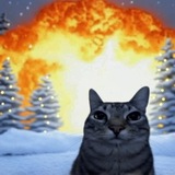 Telegram profile photo for Меркури еблует